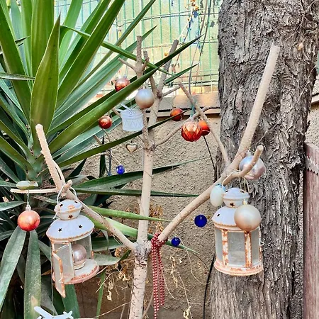 At 100 Meters To The Sea In *